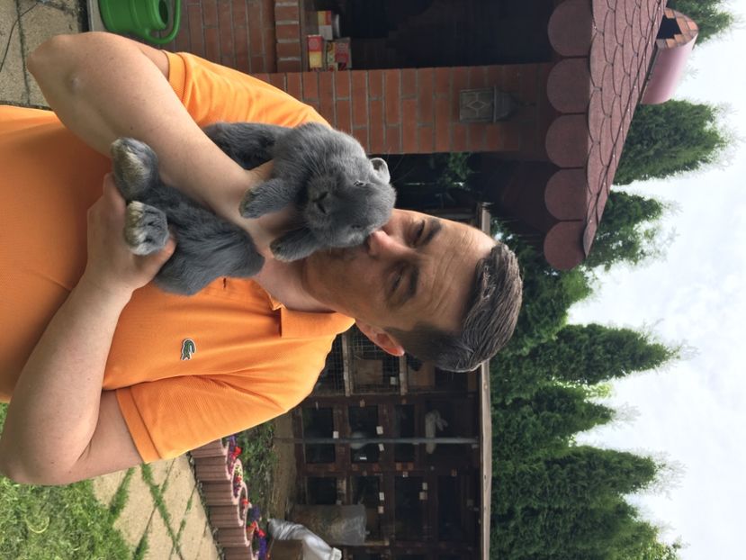 18783EDD-892B-44A3-8342-025C0F8E600D - XXXX Generația 2021 Marele Argintiu Deschis si Vienez Albastru