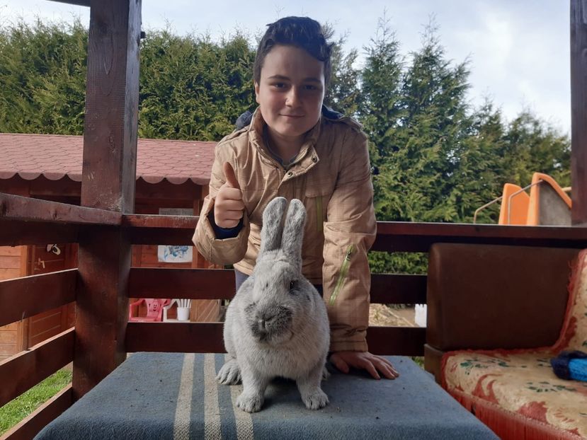 F929AFC9-BF5E-4F53-88B8-55B1EC724D90 - XXXX Generația 2021 Marele Argintiu Deschis si Vienez Albastru