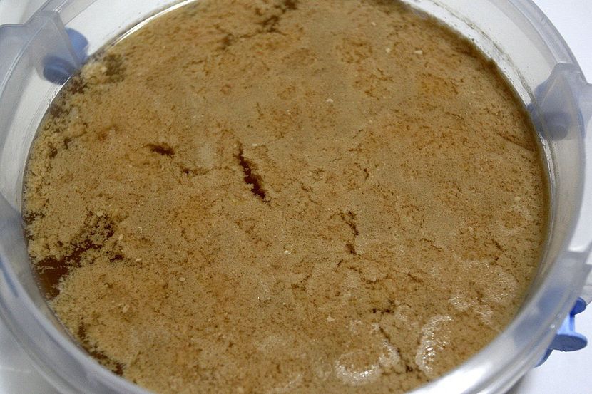 Soc 14.12.21 - 5 Sucuri