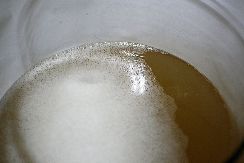 Tei 15.12.21 - 5 Sucuri