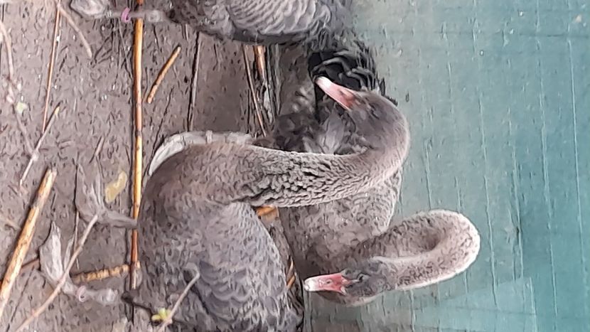 20211213_133114(0) - VINZARI