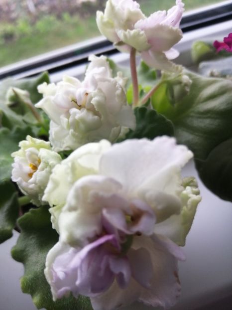  - Le Chateau Margaux