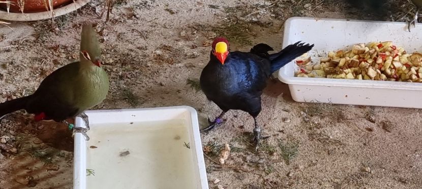  - TURACO