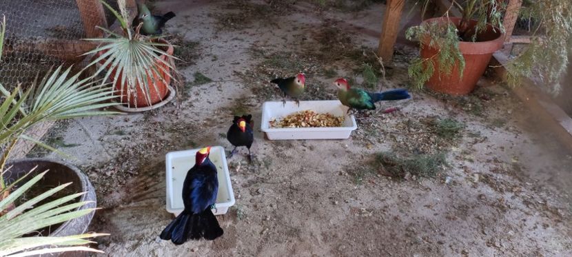  - TURACO