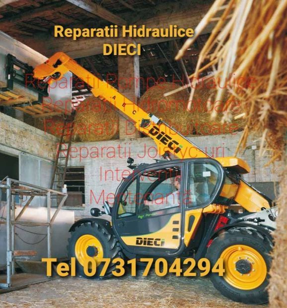 REVIZIE DIECI  - Mentenanță Utilaje