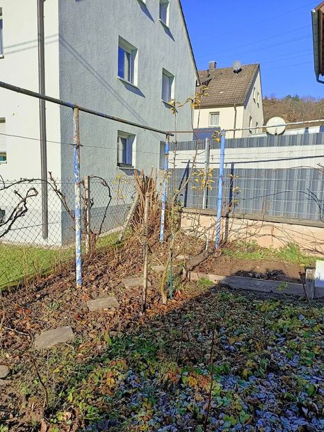 Img.2021.12.18 - A doua grădină