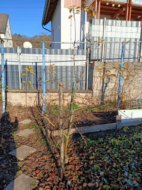 Img.2021.12.18 - A doua grădină
