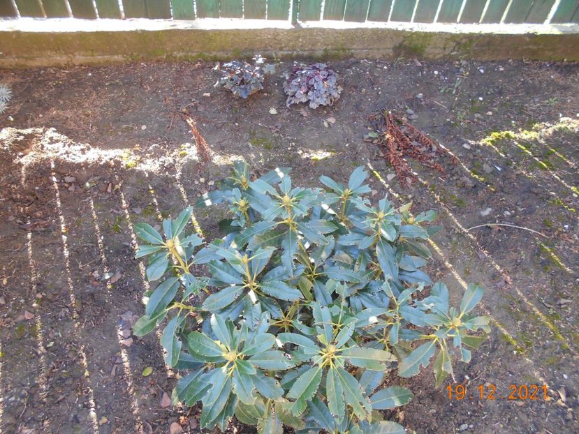  - 02 Iarna 2021-2022