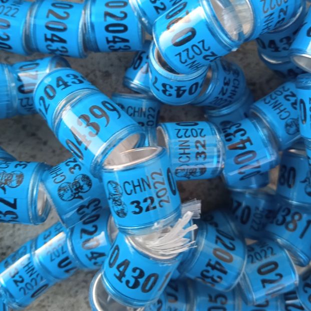 2022- CHN fara talon,,,,-1 leu - Inele 2014