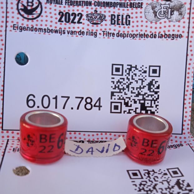 2022-BELG+talon....-8 lei - Inele 2014