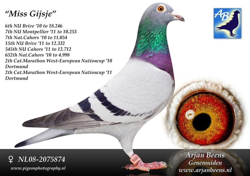 Miss_Gijsje_0 (2) - Cpl 4