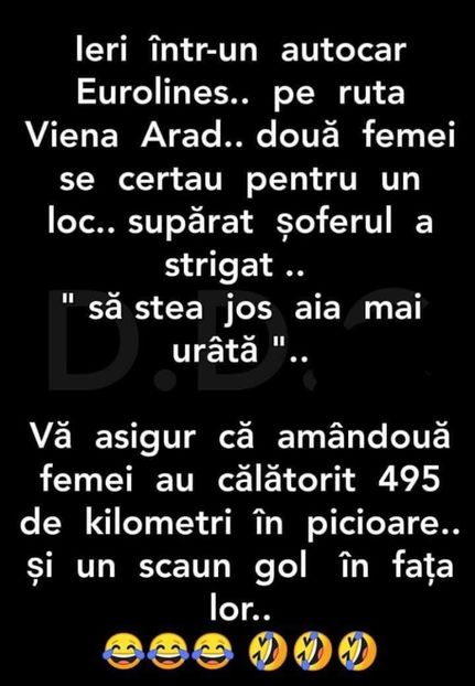  - Divertisment 6