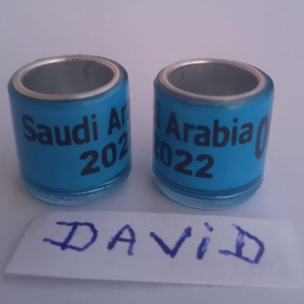 2022-Arabia.....-1 leu - Inele 2014