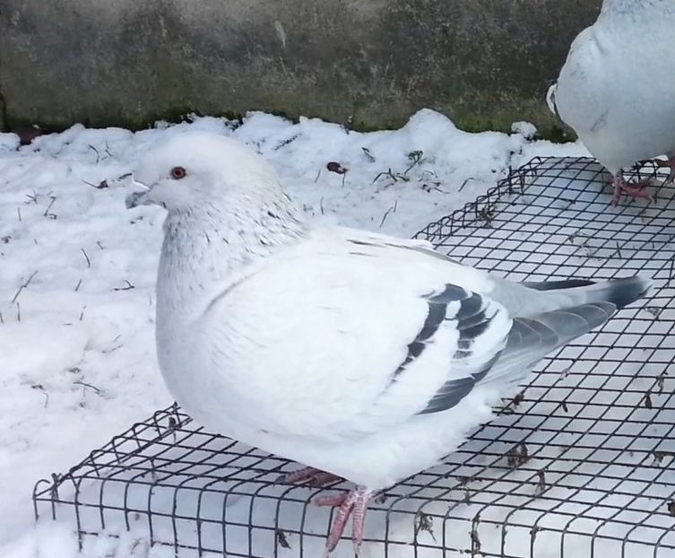 5 Archiwum - h- MLODE -2021- Youth