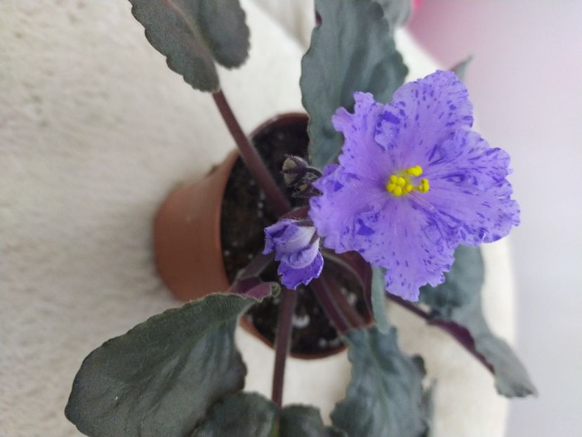 22 decembrie 2021 - Stormy Weather