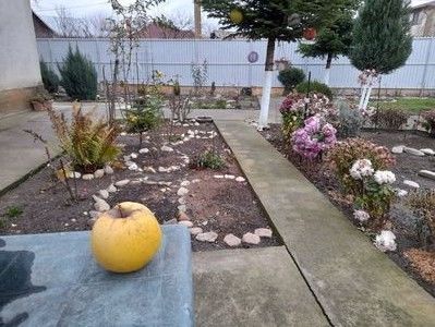 114821753_VXMDCAT~2 - 2021