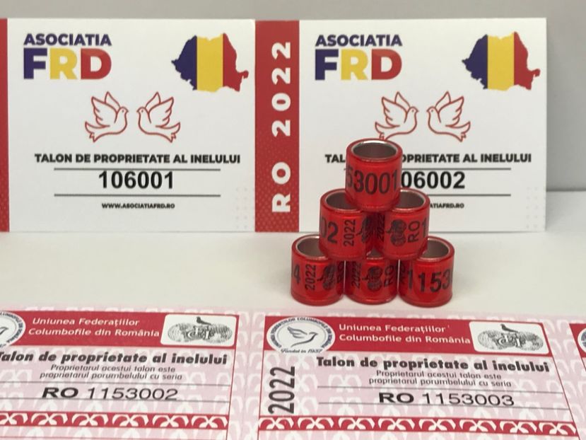 C1F87021-07C0-4C0C-ADD0-F8705BACD723 - Inele FCI România cu talon de Federatie 2022