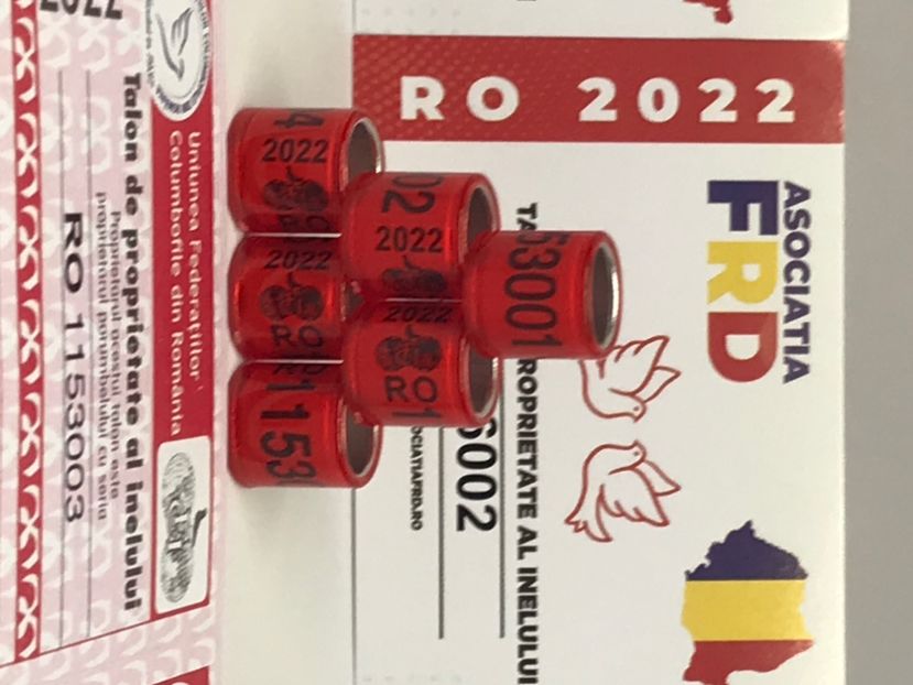 DC120A9F-2834-4A4E-B556-C324F6B27DAB - Inele FCI România cu talon de Federatie 2022