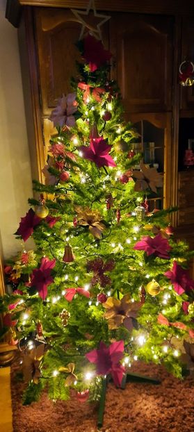 2021 - 002 Sarbatori fericite !