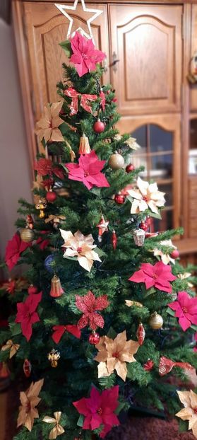  - 002 Sarbatori fericite !