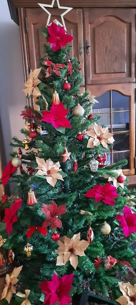  - 002 Sarbatori fericite !