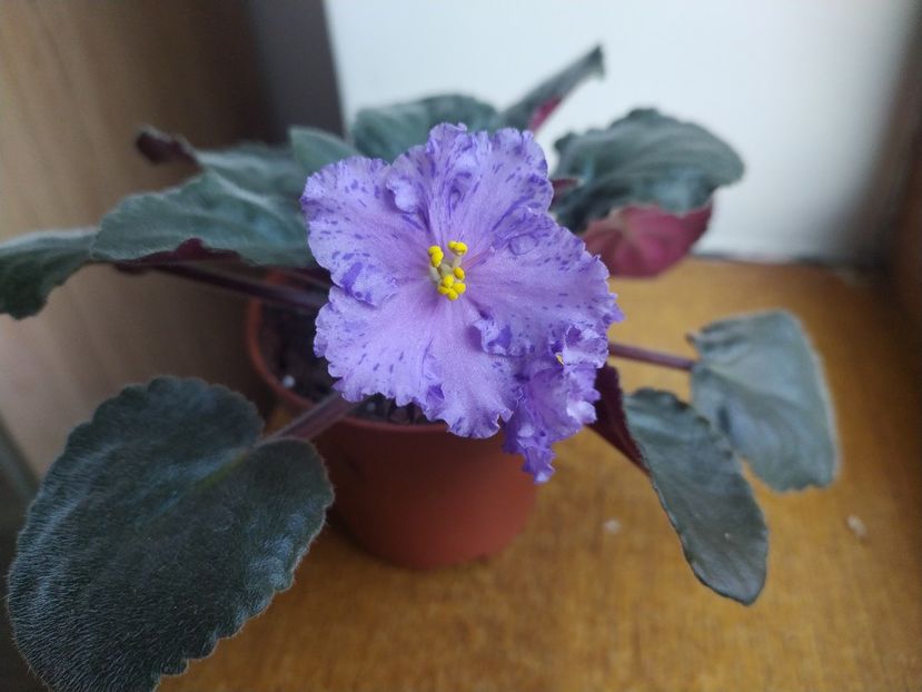 25 decembrie 2021 - Stormy Weather