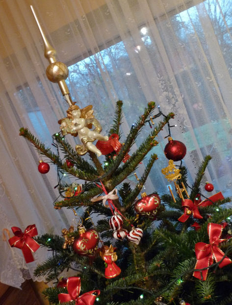  - 2021 - 04 - 2022 - 00 - Iarna