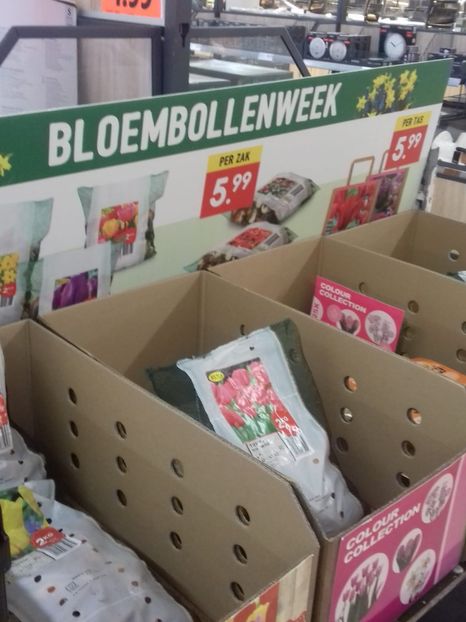 IMG-20211226-WA0190 - Belgia tati