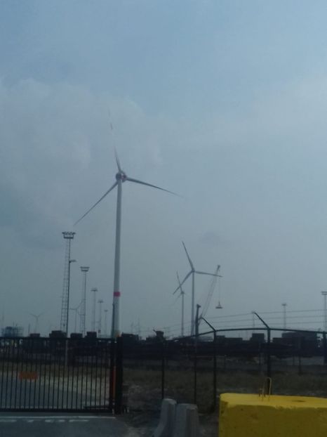 IMG-20211226-WA0186 - Belgia tati