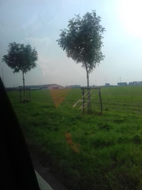 IMG-20211226-WA0184 - Belgia tati