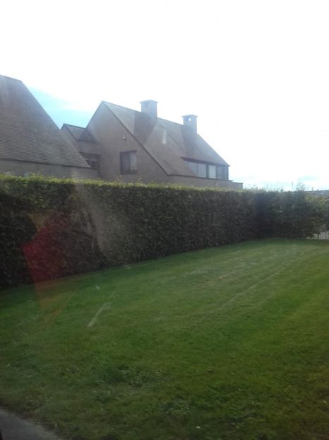 IMG-20211226-WA0181 - Belgia tati