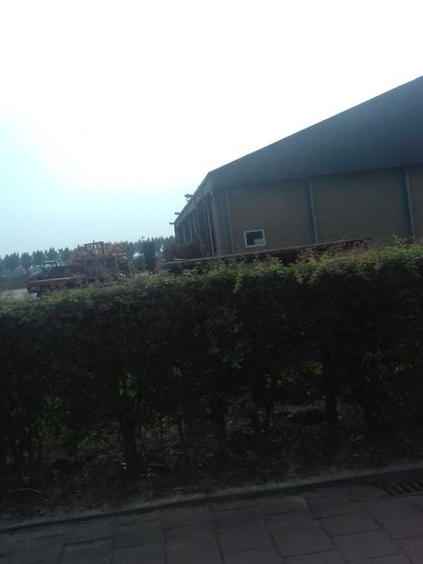 IMG-20211226-WA0187 - Belgia tati