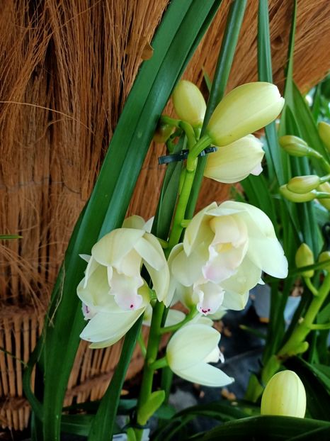 Img. 2021.12.27 - A -Magazin