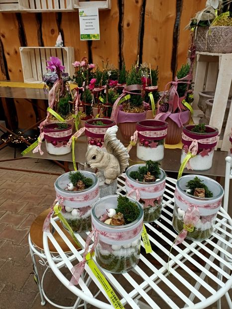 Img.2021.12.27 - A -Magazin