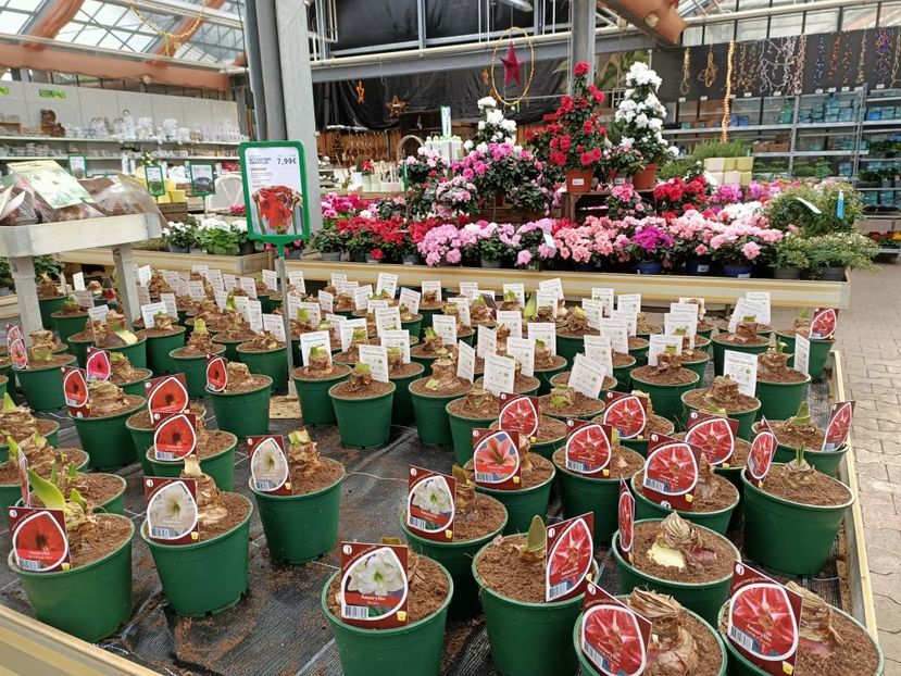 Img.2021.12.27 - Magazinul