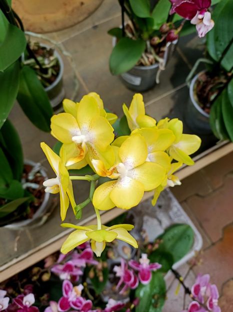 Img. 2021.12.27 - Magazinul