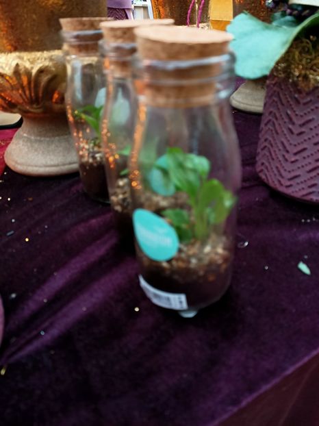 Img. 2021.12.27 - Magazinul