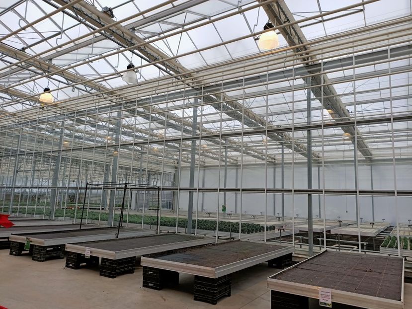 Img.2021. 12. 2-serele sunt goale :( - Magazinul