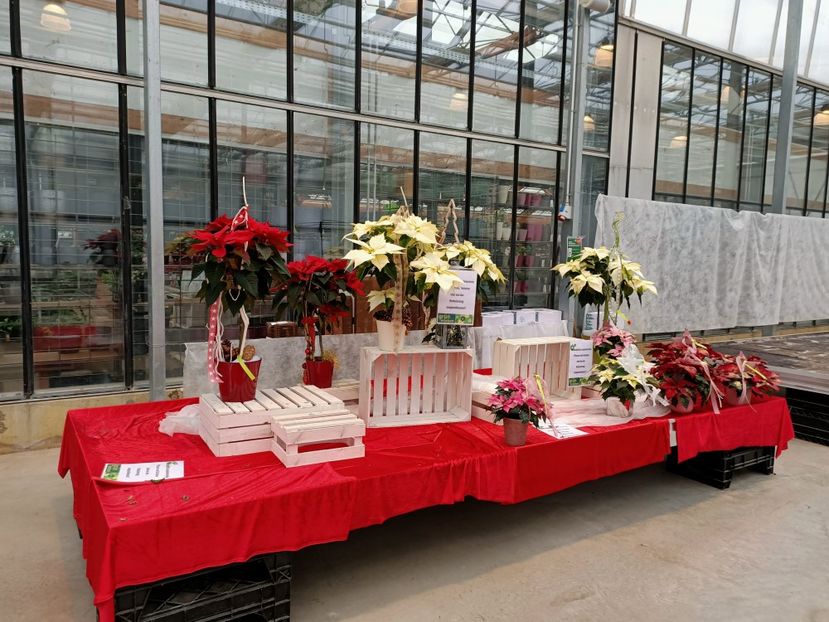 Img.2021.12.27 - Magazinul