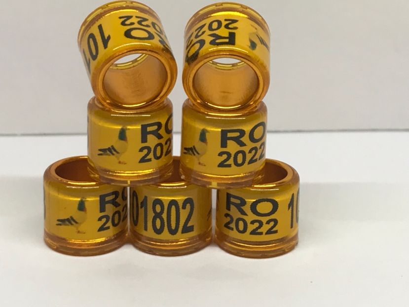 4630CB09-61E3-4537-AA94-06A850179D9C - 0 Inele Speciale Personalizate cu interior Auriu 2022