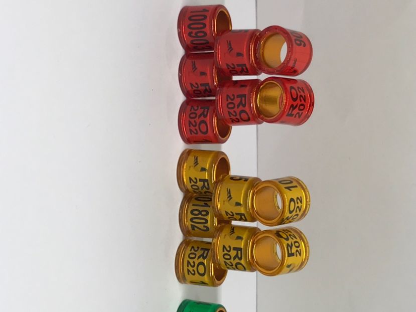 6F7BD922-ED71-41A8-BA5E-43103A758BAA - 0 Inele Speciale Personalizate cu interior Auriu 2022