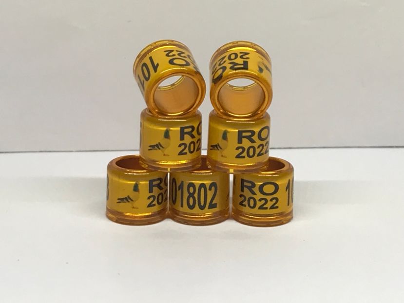 7EB59B2B-A651-4317-9504-4E11DD14C505 - 0 Inele Speciale Personalizate cu interior Auriu 2022