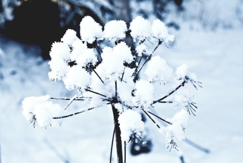  - - A - Annyeonghaseyo !