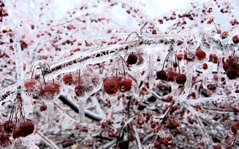  - - A - Annyeonghaseyo !