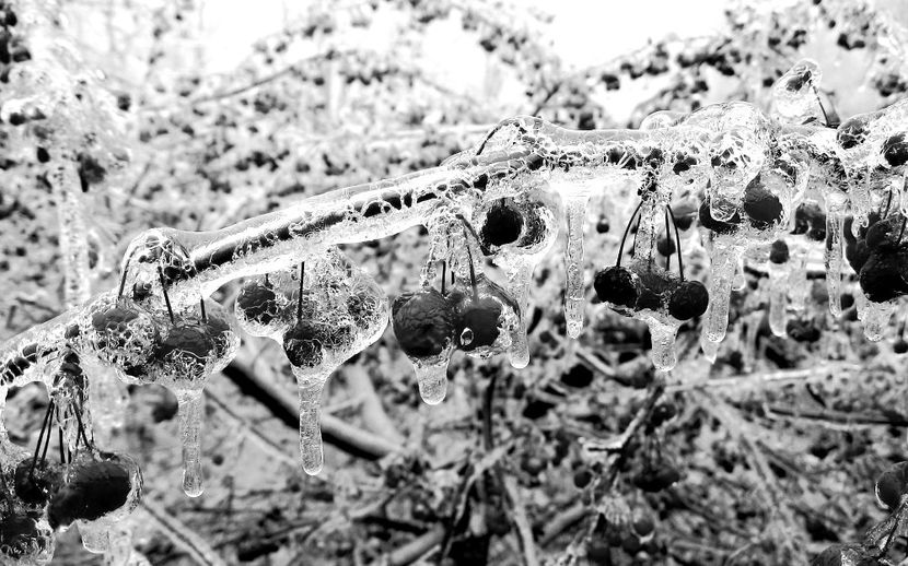  - - A - Annyeonghaseyo !