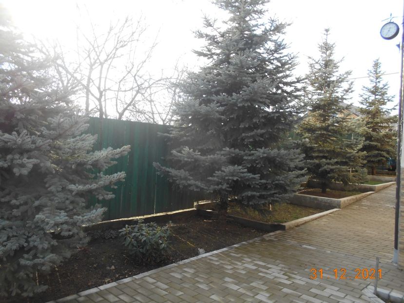  - 02 Iarna 2021-2022