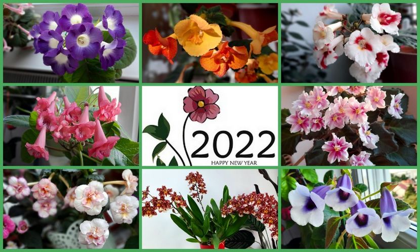 La multi ani ! - 002 Sarbatori fericite !