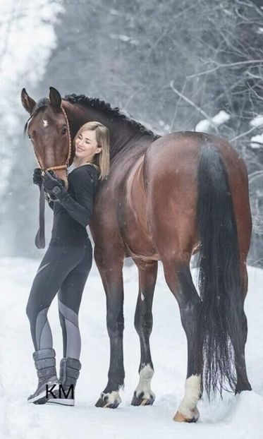  - Cai animale nobile