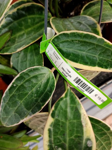 Img.2022.01.03 - A -Magazin