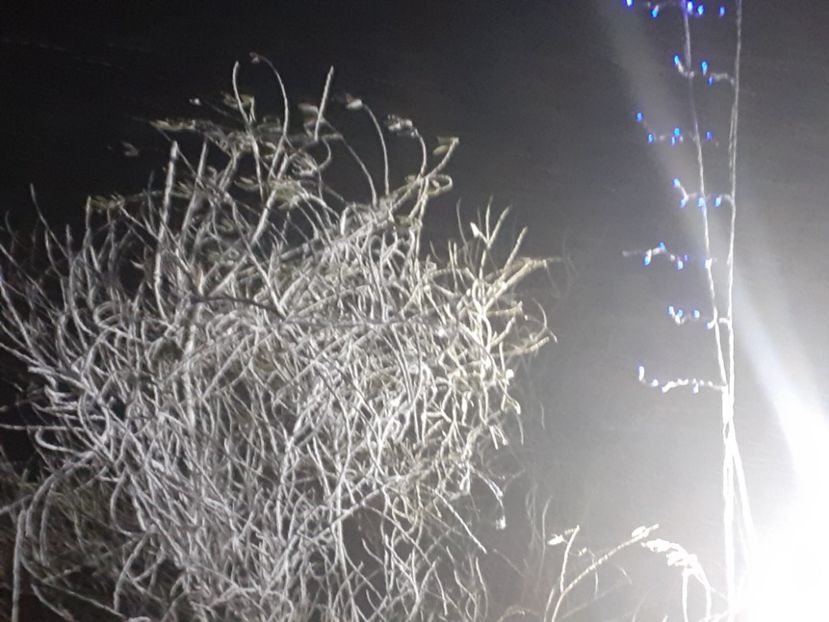  - Prima zăpadă decembrie 2021